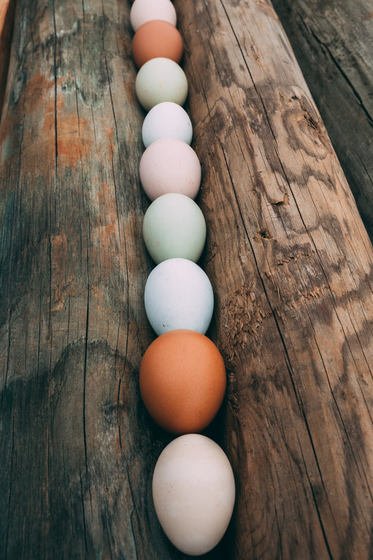 Eggs