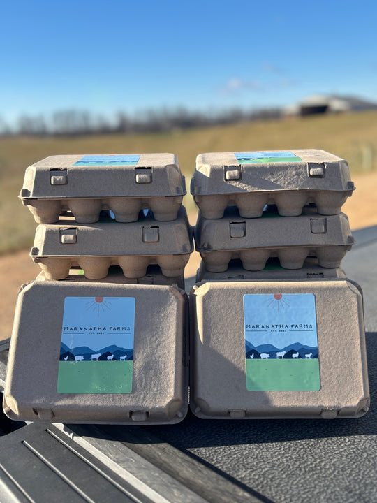 New! Baker's Egg Case (10 Dozen)