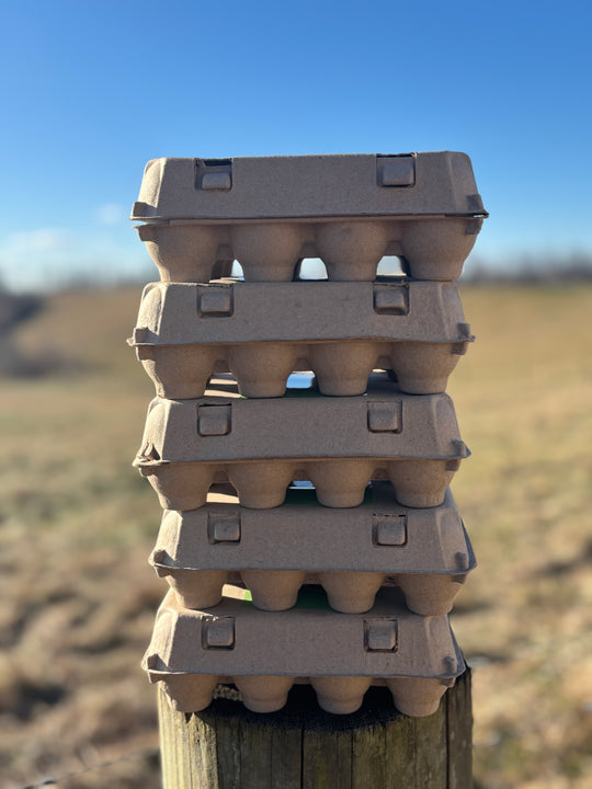 New! Family Egg Case (5 Dozen)