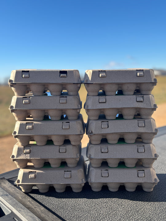 New! Baker's Egg Case (10 Dozen)