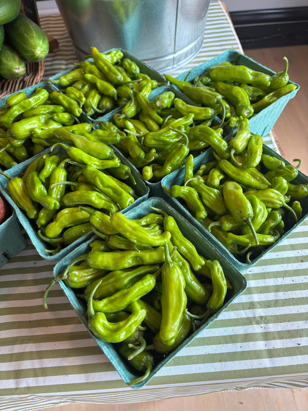 Shishito Peppers