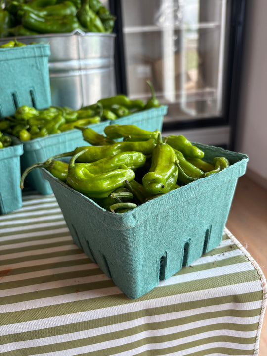 Shishito Peppers