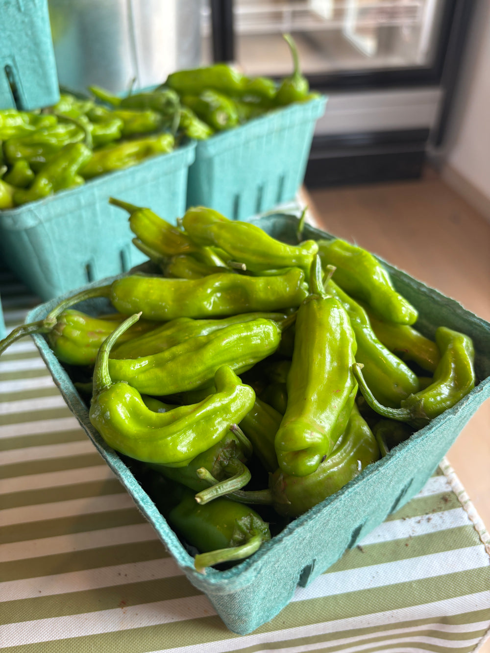 Shishito Peppers