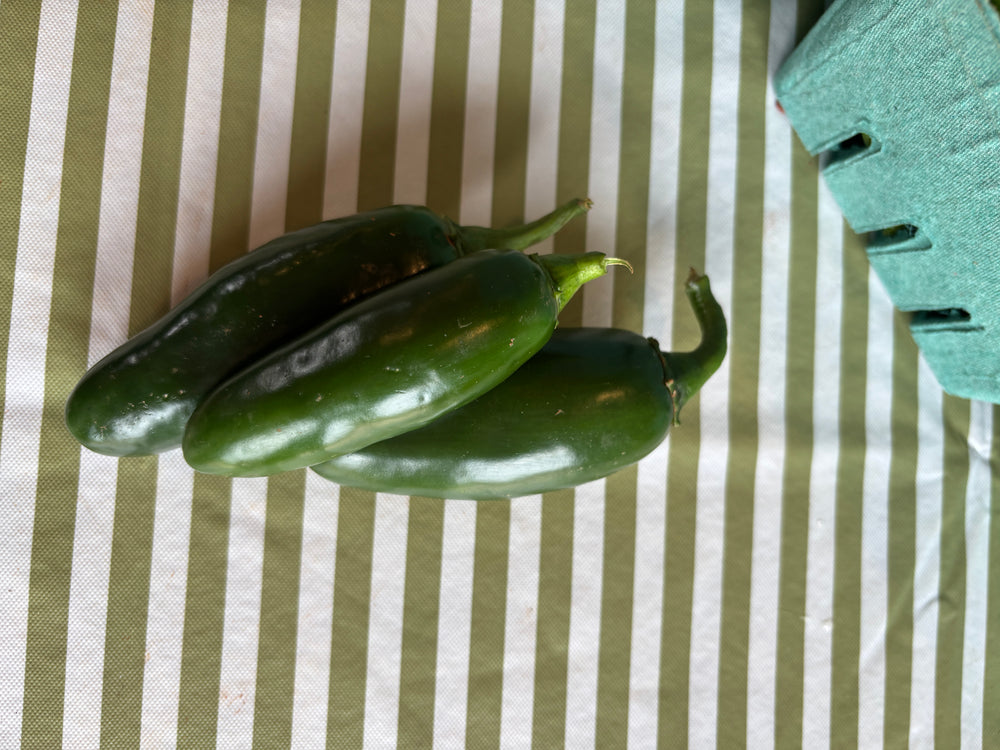 Jalapeno Peppers