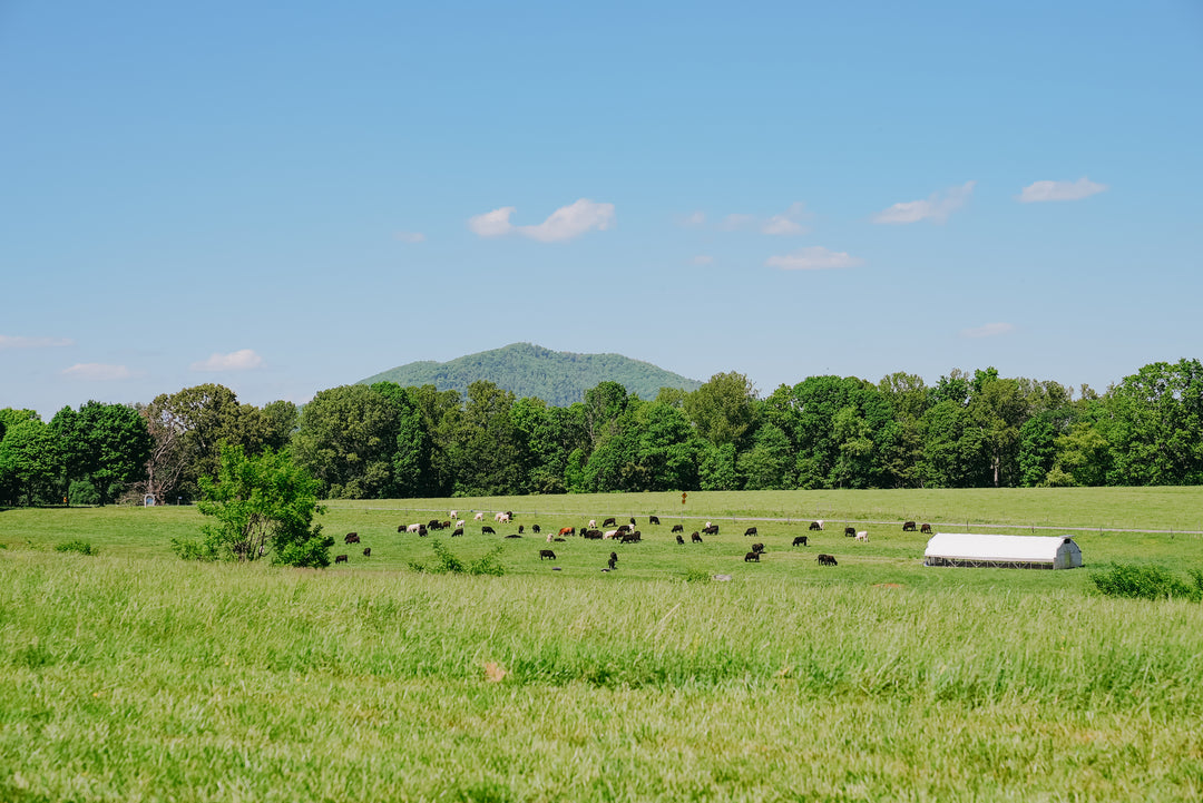 Maranatha Farm Dinner