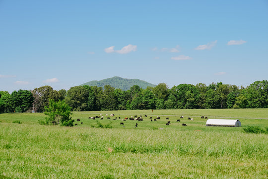Maranatha Farm Dinner