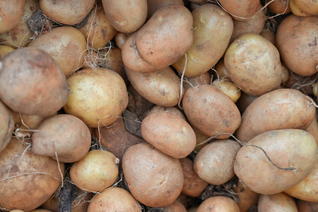 Yukon Gold Potatoes