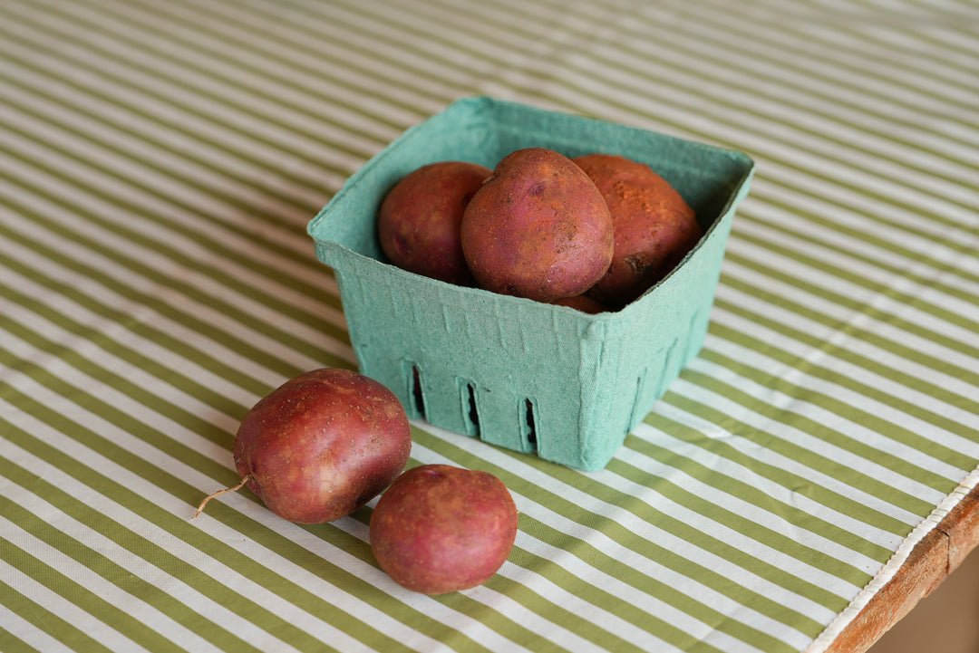 Dark Red Norland Potatoes