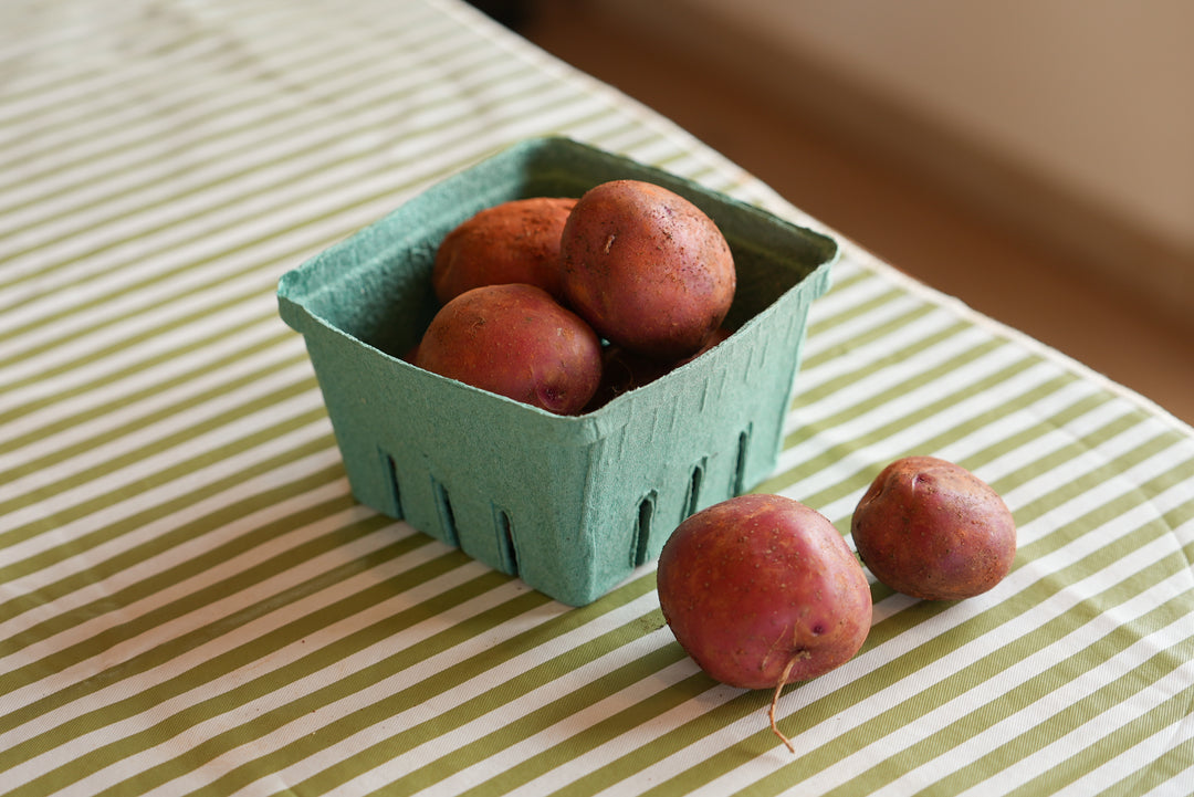 Dark Red Norland Potatoes