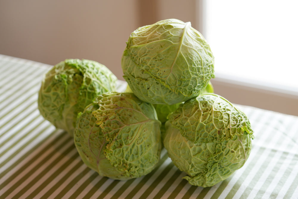 Savoy Cabbage