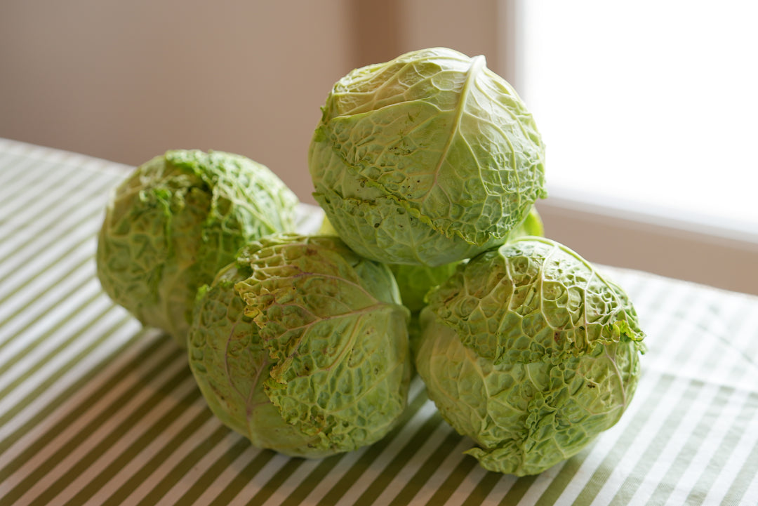 Savoy Cabbage