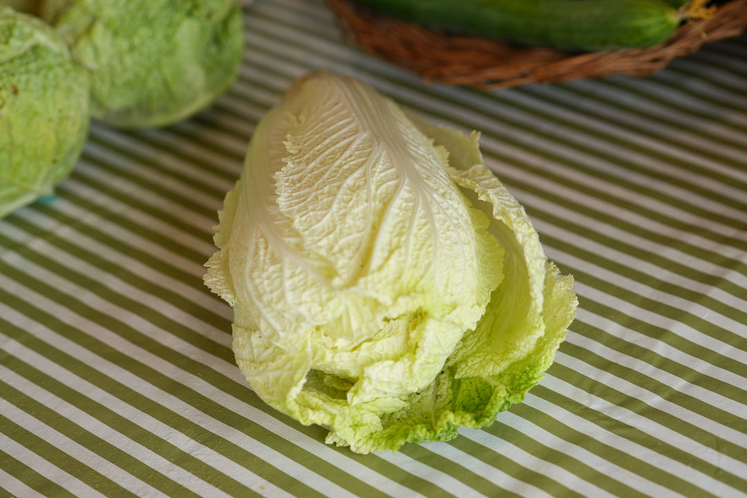 Napa Cabbage