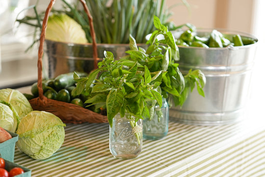 Fresh Basil
