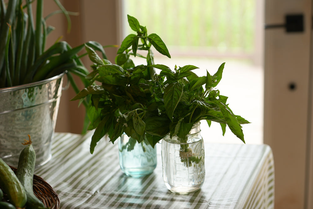 Fresh Basil