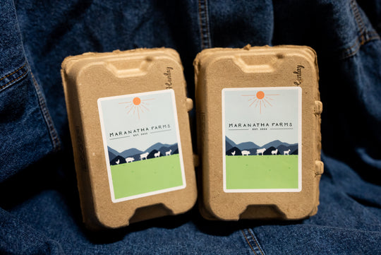 Maranatha Mini Sampler