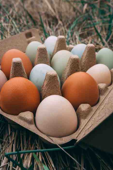 Pasture Raised Eggs